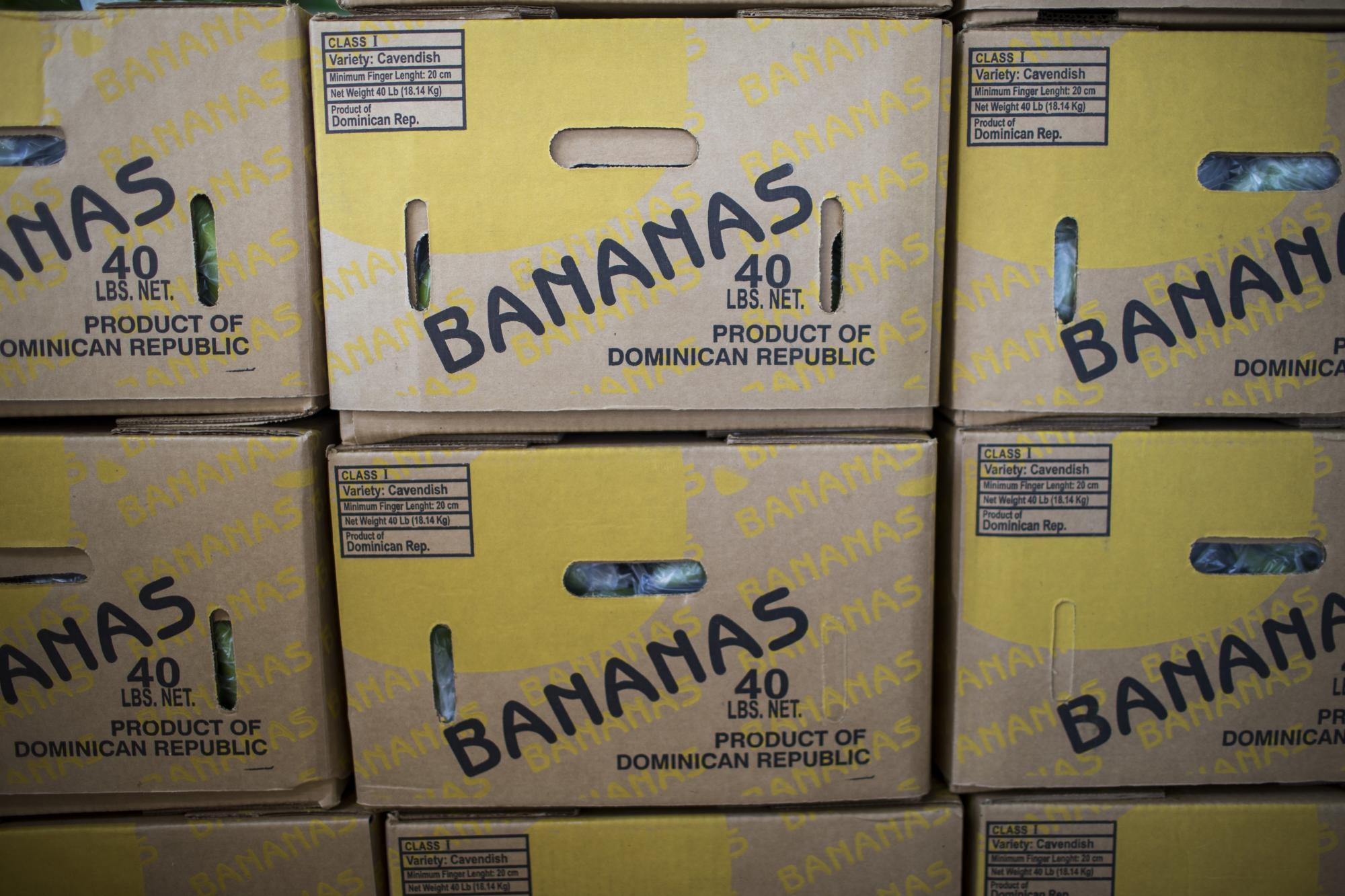 Cajas de bananos listos para exportar. 