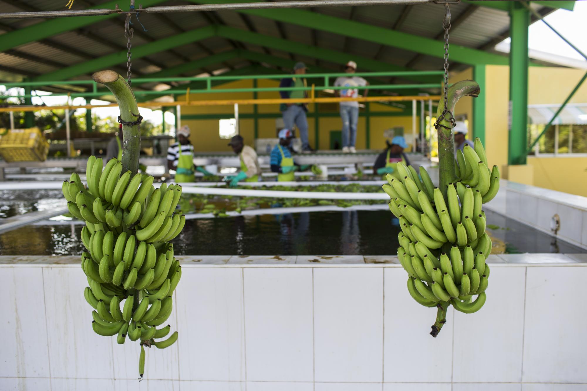 Las facilidades de Coral Castle están consideradas de las mejores en el país. 
