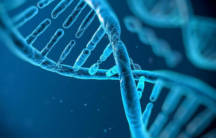 Identifican 40 nuevos genes relacionados con la inteligencia