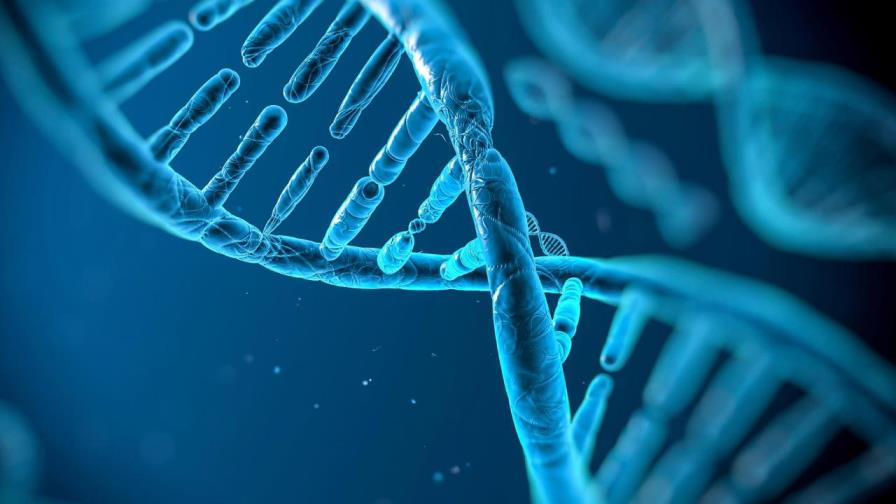 Identifican 40 nuevos genes relacionados con la inteligencia