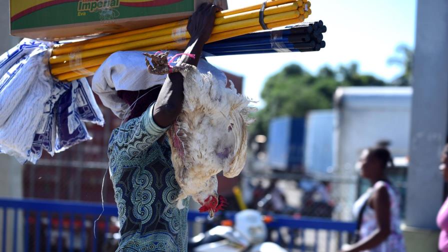 AIRD: “Nuestros asociados están exportando formalmente a Haití” AIRD: “Nuestros asociados están exportando formalmente a Haití”