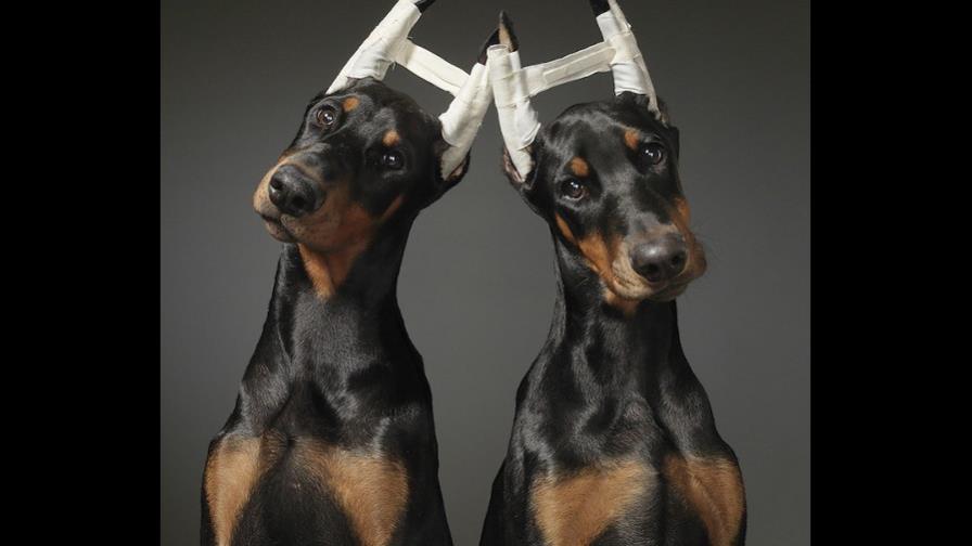 ¿Son necesarias las amputaciones?