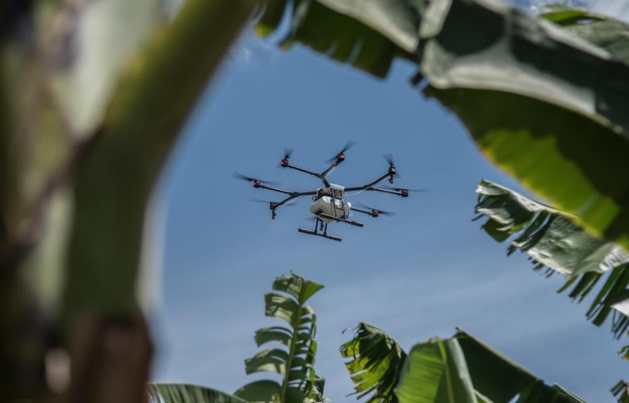El dron, nueva herramienta para erradicar insectos que causan enfermedades