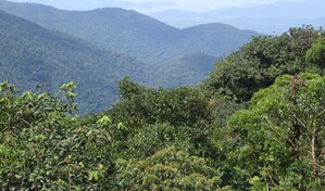 El D&iacute;a Mundial del Medio Ambiente procura soluciones a la sequ&iacute;a