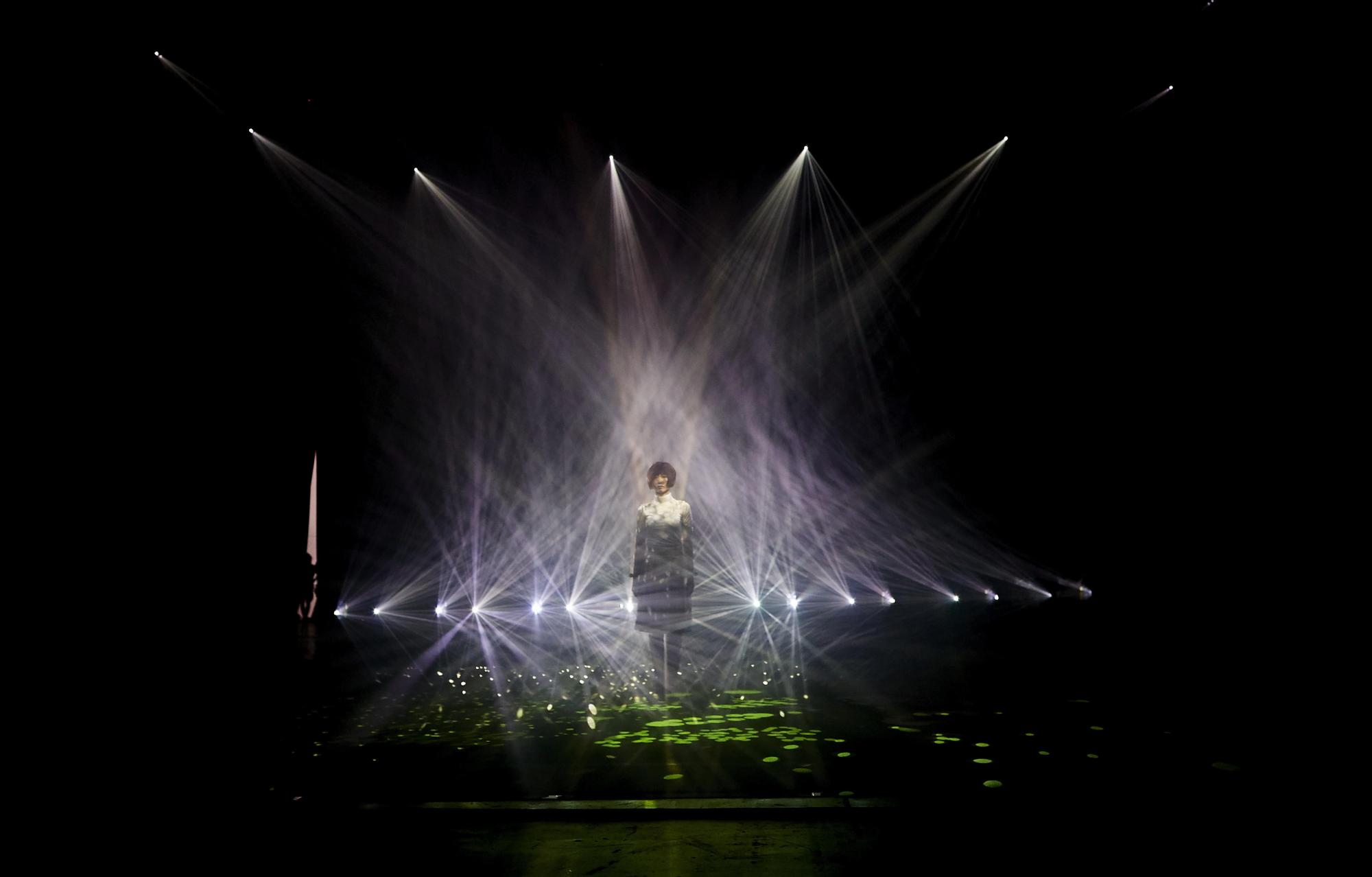 Luces e imágenes inmersivas