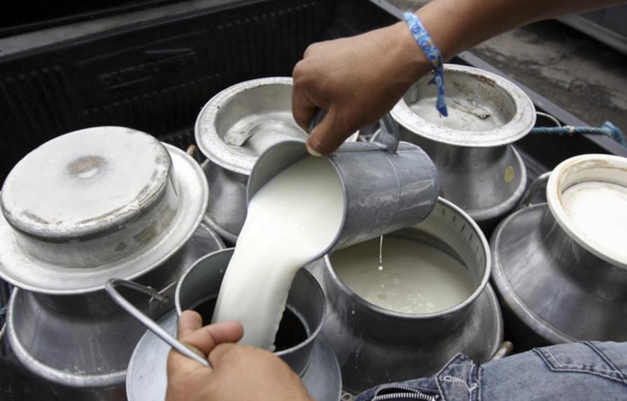 CEPAL indica que altos costos de producción  ponen en desventaja al sector lácteo dominicano