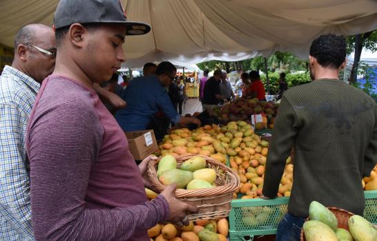 Por décimo tercera ocasión, Baní se convierte en la “Capital del Mango”
País exportó US$20 MM en 2016