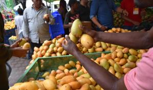 Expo Mango 2025 se celebrará del 18 al 22 de junio en Baní Expo Mango 2025 se celebrará del 18 al 22 de junio en Baní
