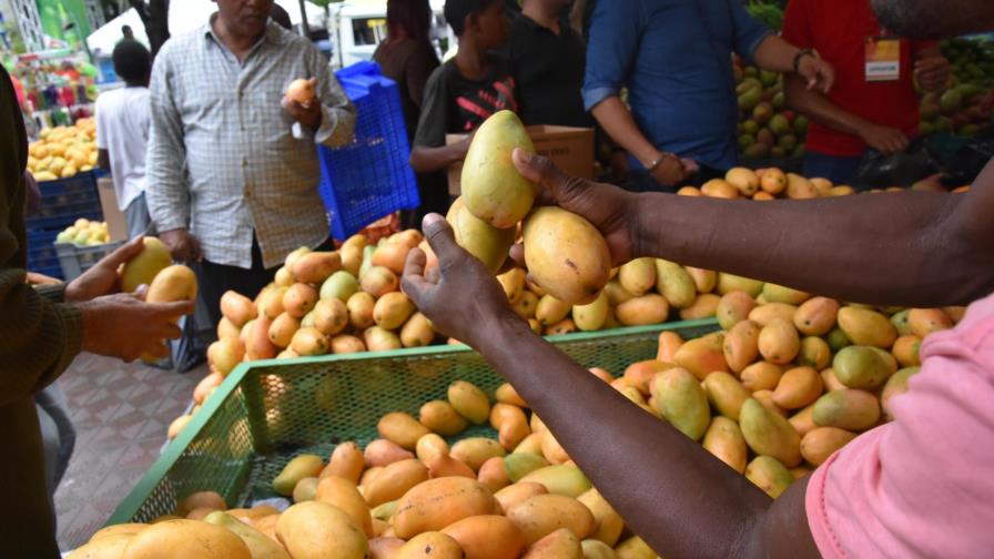 Expo Mango 2025 se celebrará del 18 al 22 de junio en Baní Expo Mango 2025 se celebrará del 18 al 22 de junio en Baní