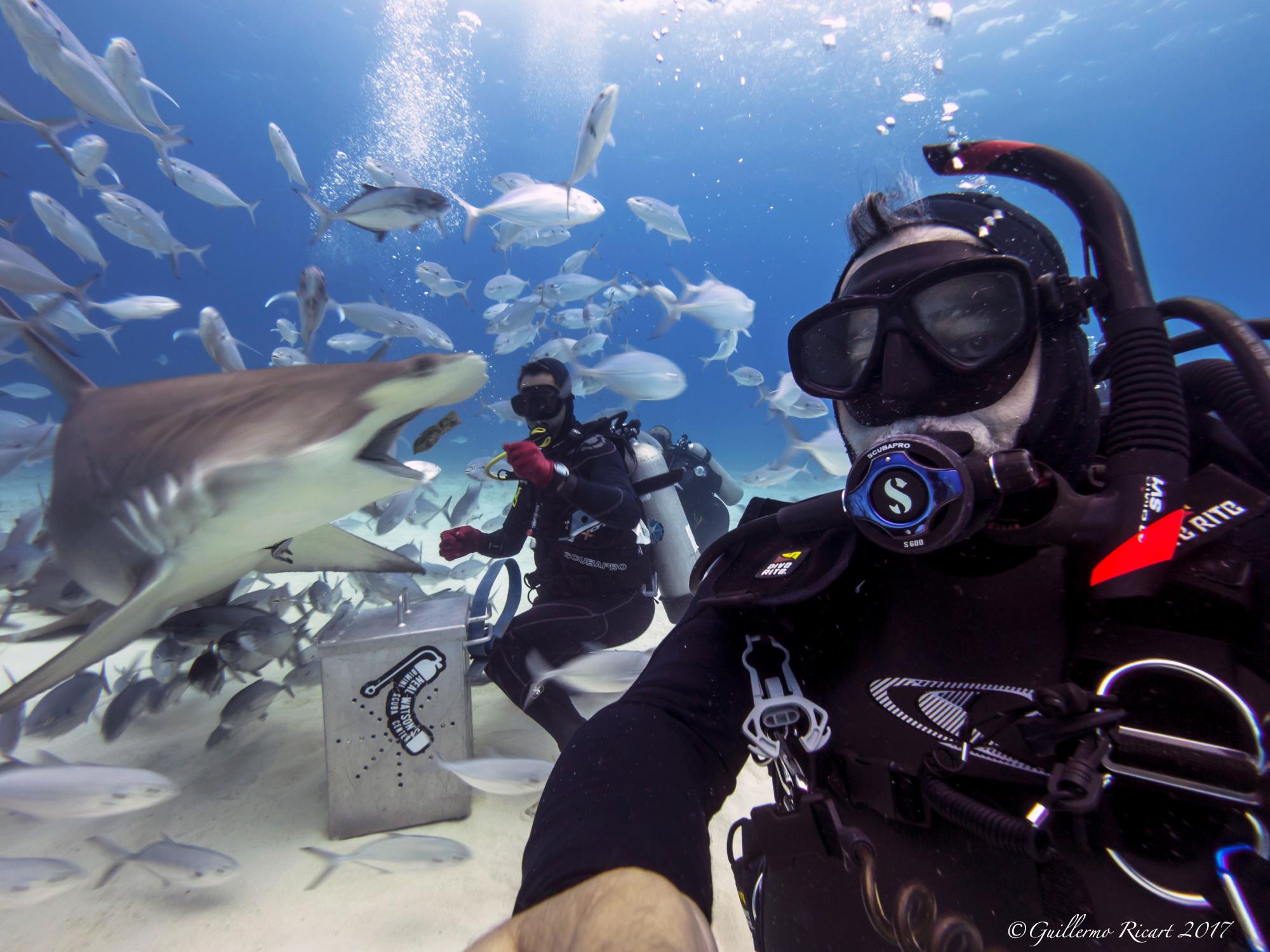 Selfie de Guillermo Ricart.