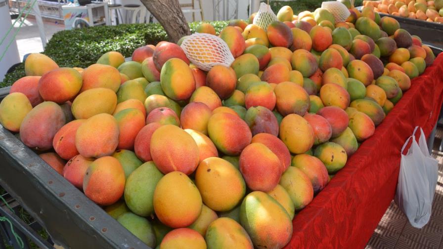 Expo Mango 2017: producir con inocuidad para exportar con calidad Expo Mango 2017: producir con inocuidad para exportar con calidad
