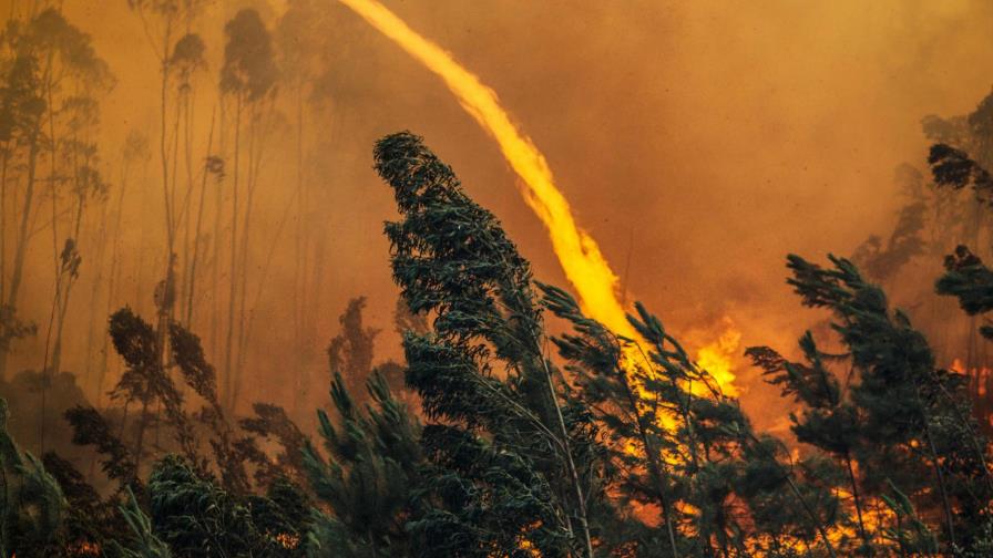 Viento, calor y tormenta seca, la mezcla que desató el infierno en Portugal Viento, calor y tormenta seca, la mezcla que desató el infierno en Portugal