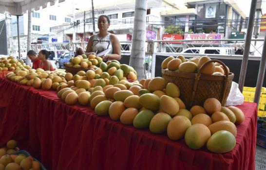 Por décimo tercera ocasión, Baní se convierte en la “Capital del Mango”
País exportó US$20 MM en 2016