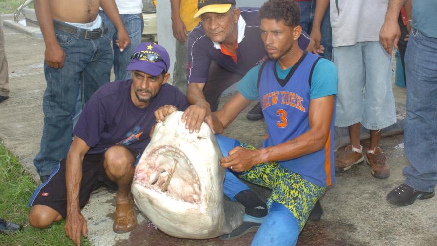 Falta de protocolo puede frenar aplicación de veda pesquera