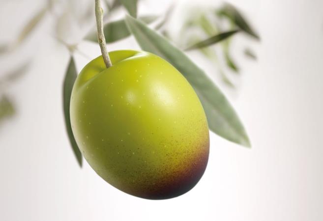 El aceite de oliva ayuda a prevenir la enfermedad de Alzheimer, según estudio