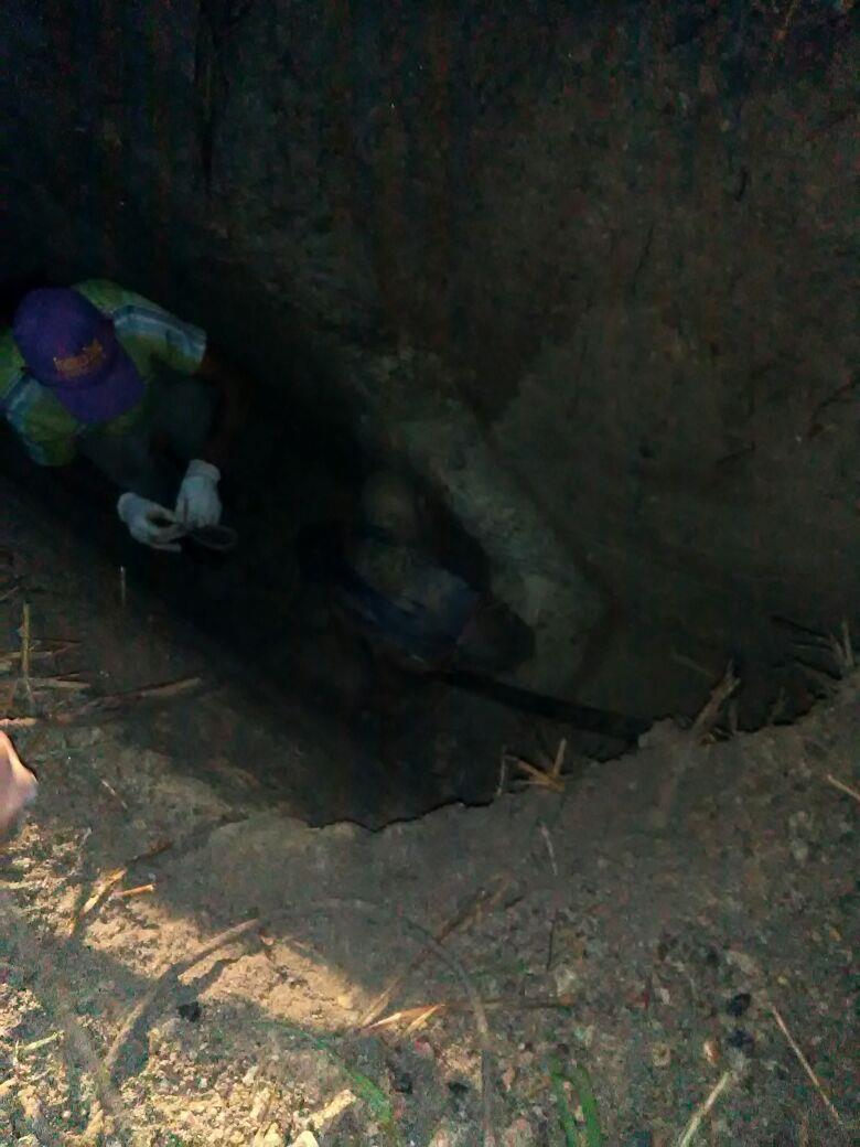 Hallan dos cadáveres en fosa de una comunidad de El Seibo