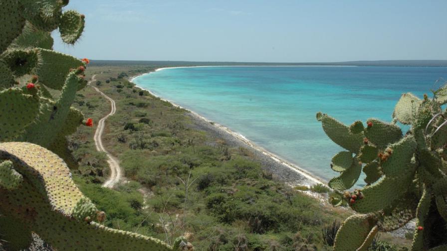 Anuncian construcción de un aeropuerto y hotel para Bahía de las Águilas Anuncian construcción de un aeropuerto y hotel para Bahía de las Águilas