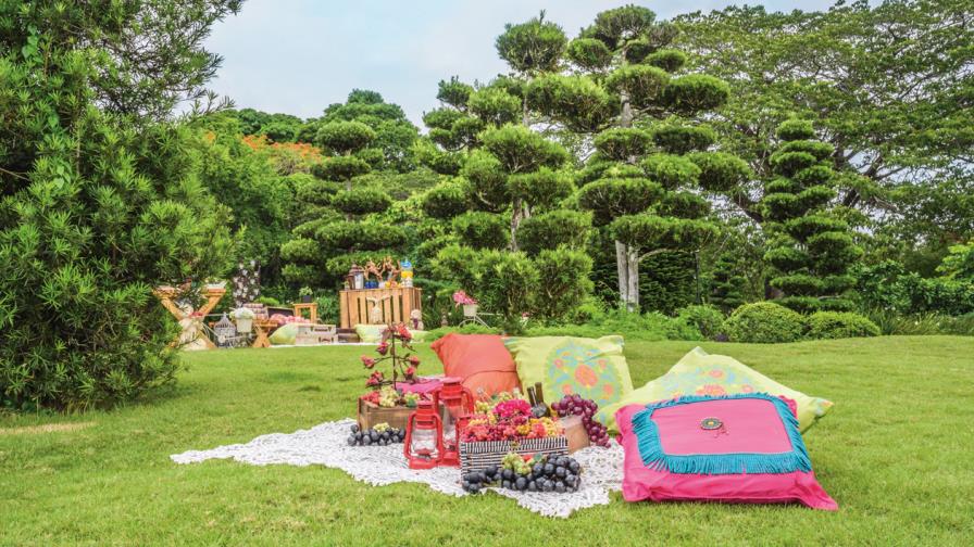 ¡Vámonos de picnic! 