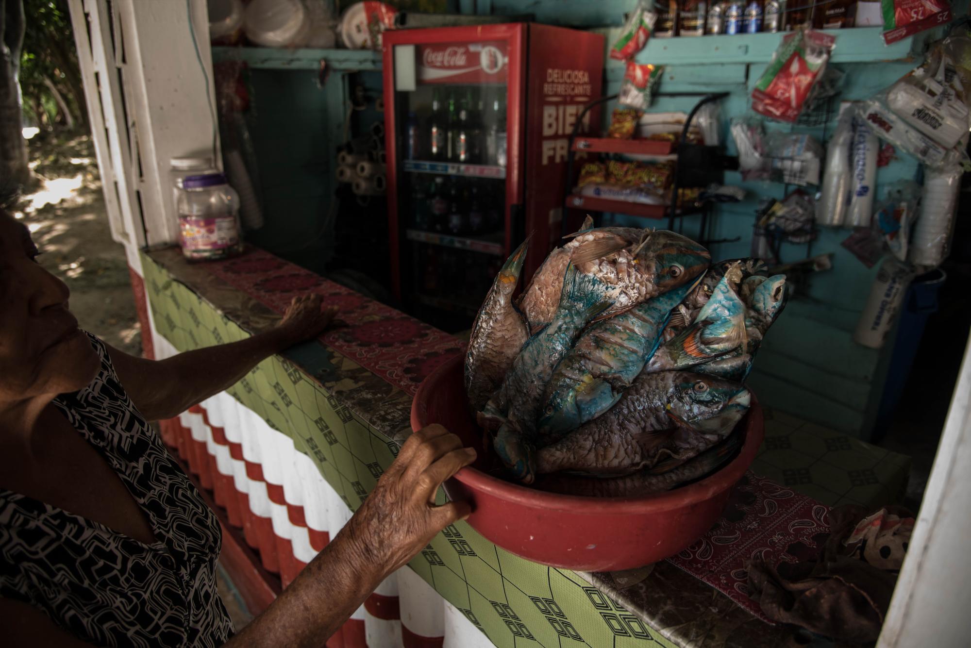 Una cocinera observa una ponchera con peces loro que preparará para los clientes.