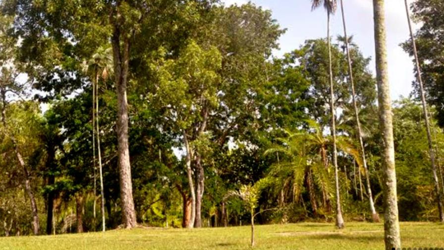 PE emite decreto que crea jardín botánico de Santiago Eugenio de Jesús Marcano 