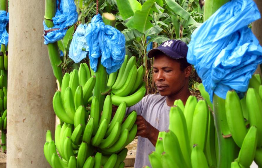 Dirección de Migración autoriza el traslado a obreros haitianos bananeros