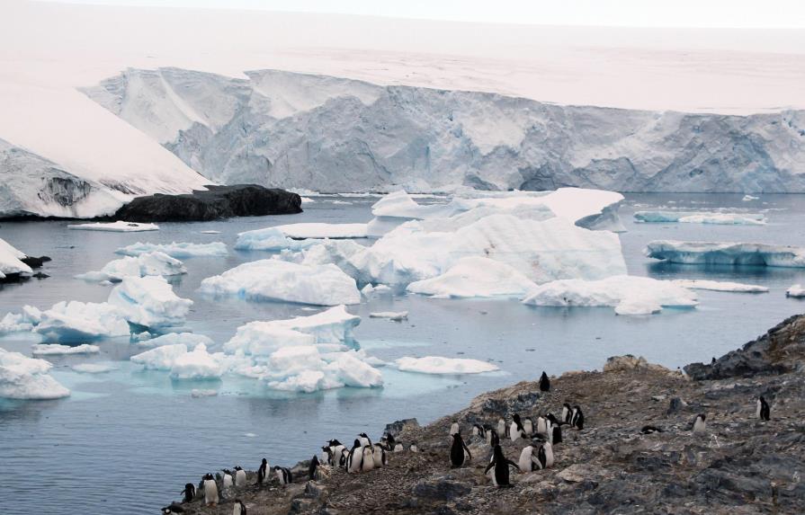 Una cuarta parte de la Antártida dejaría de ser hielo en 2100