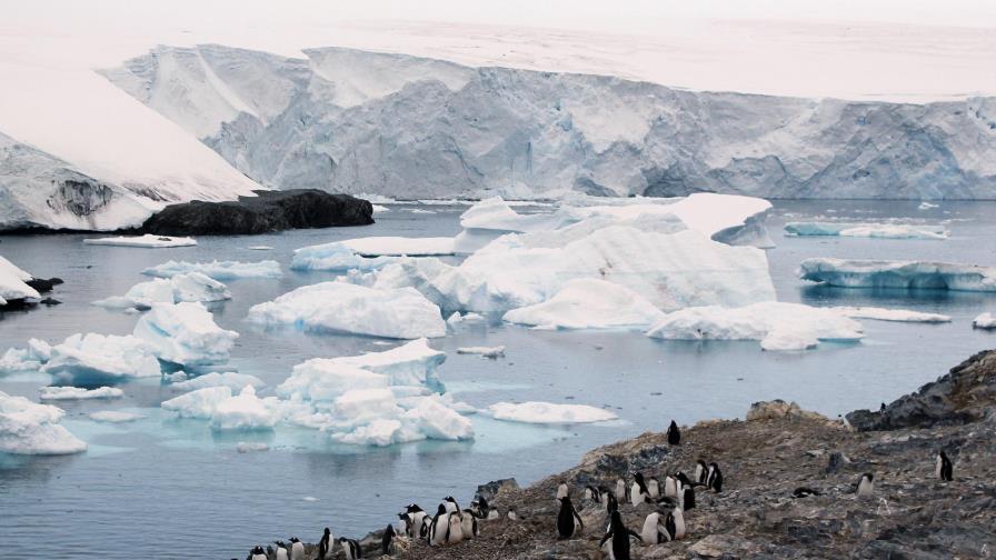 Una cuarta parte de la Antártida dejaría de ser hielo en 2100