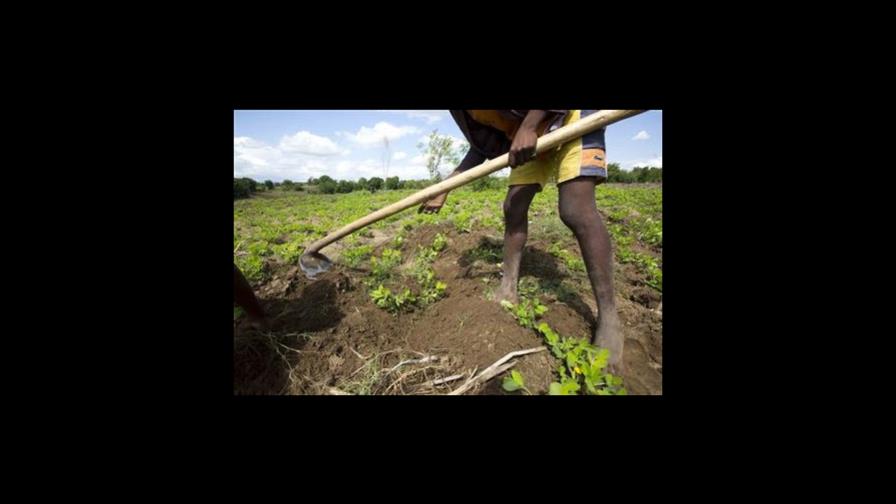 España busca tener primer sitio reconocido de patrimonio agrícola en Europa