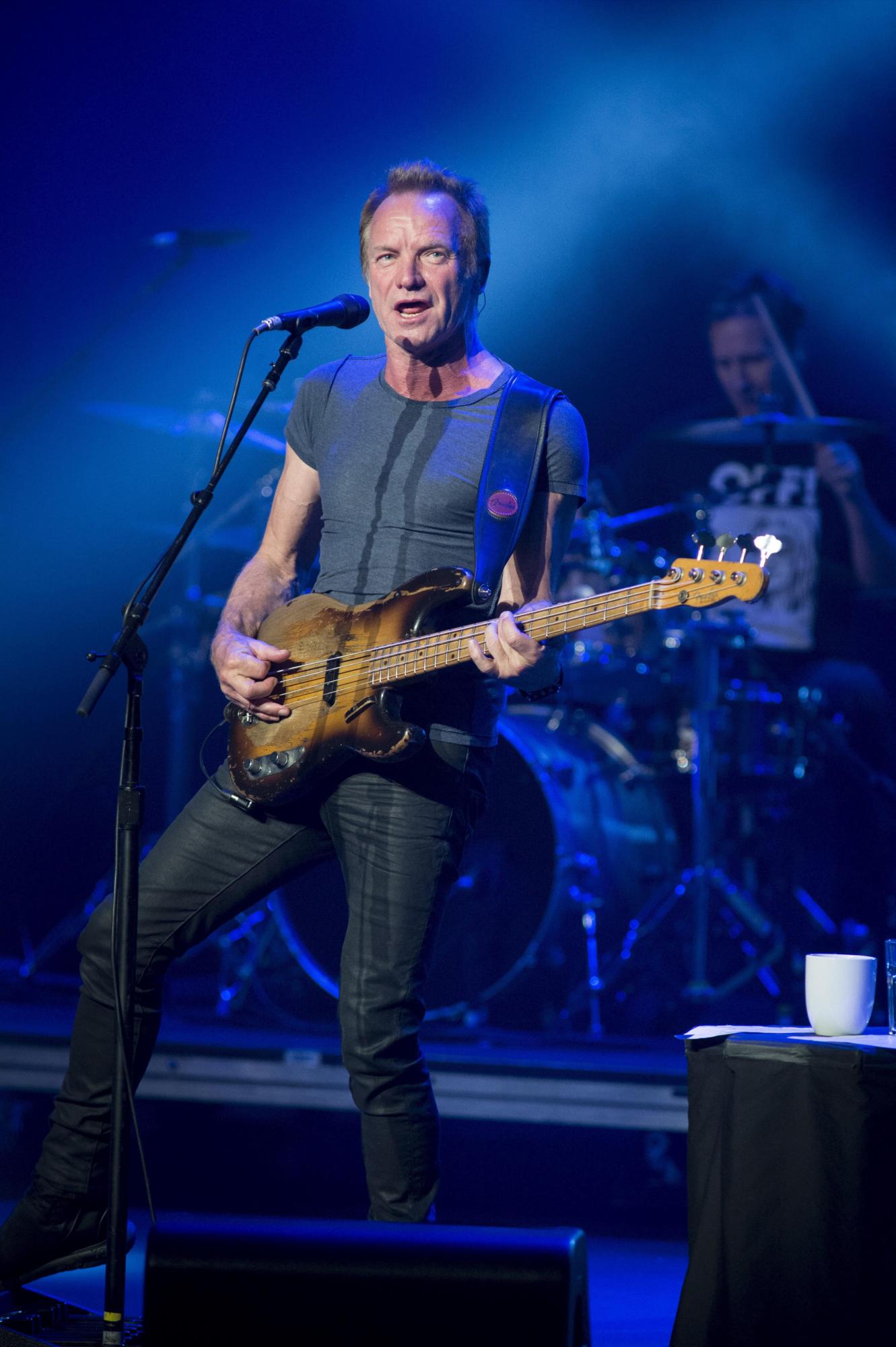 El músico, compositor y cantante Gordon Matthew Thomas Sumner, conocido como Sting.