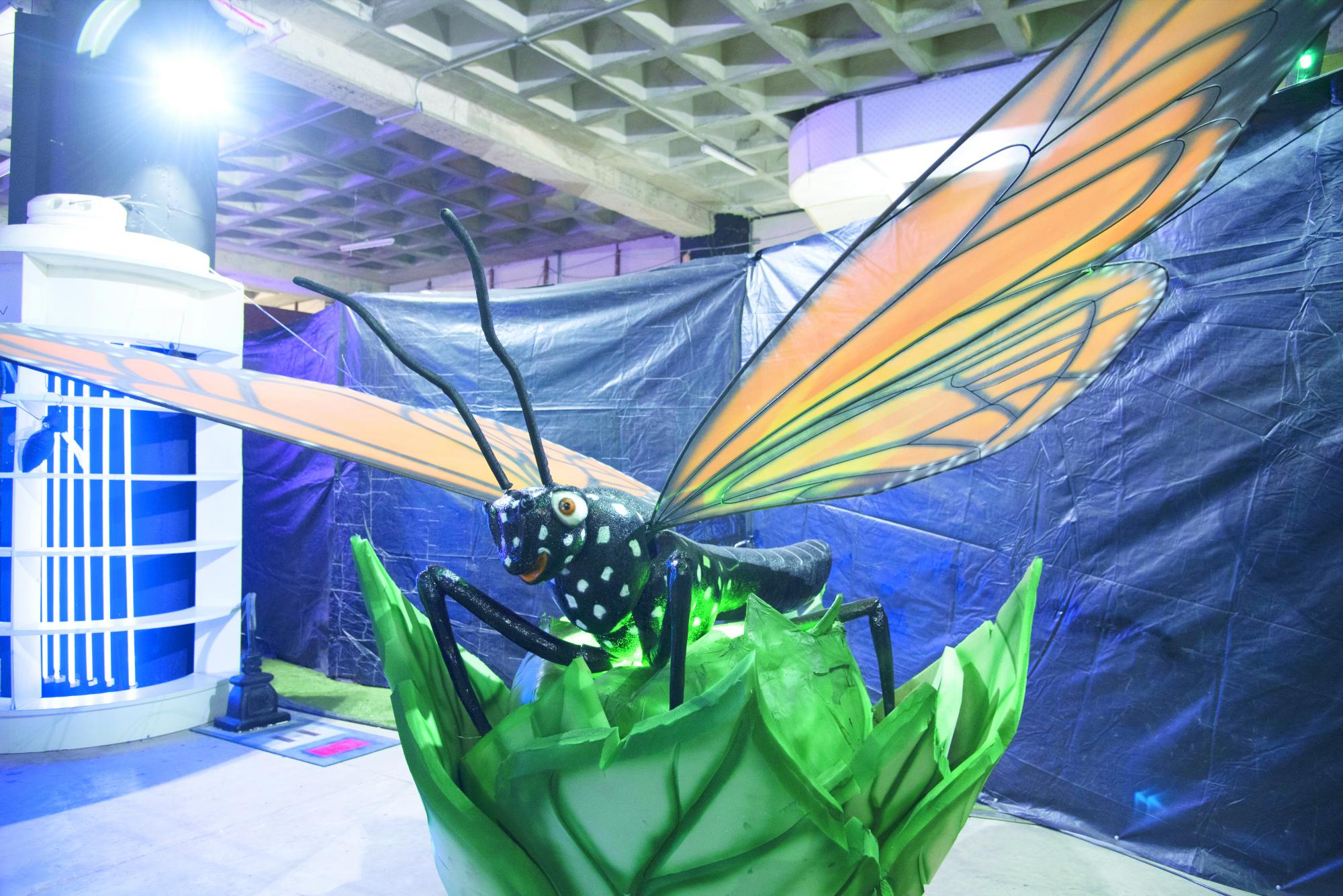 Esta mariposa se coloca sobre una flor.