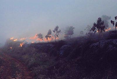 Fuego afecta Parque Nacional Sierra de Bahoruco