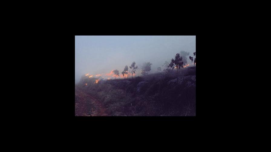 Fuego afecta Parque Nacional Sierra de Bahoruco
