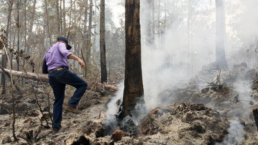 Ministerio Medio Ambiente investiga a sospechoso por incendio en Bahoruco