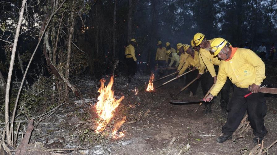 Traficantes de Guaconejo incendian Sierra de Bahoruco y afectan miles de tareas de bosque Traficantes de Guaconejo incendian Sierra de Bahoruco y afectan miles de tareas de bosque