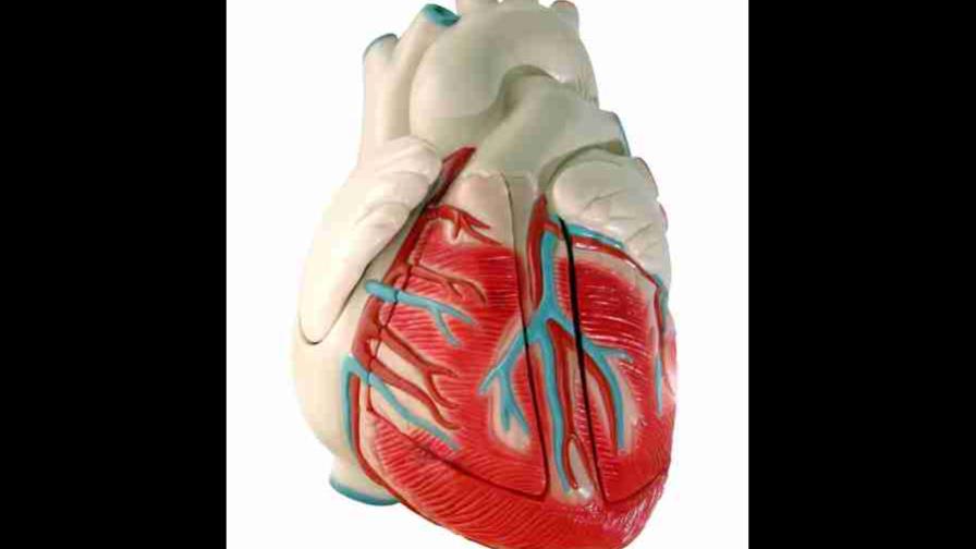 Vinculan nueva terapia para el cáncer con problemas cardiovasculares severos