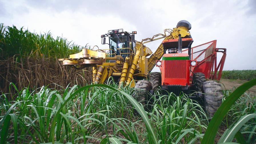 Central Romana entrega RD$900 millones de bonificación a empleados