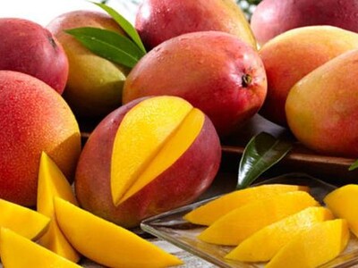 El mango del otro lado del trazo