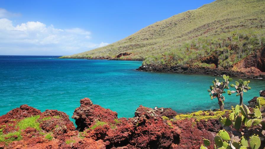 El 95% de especies originalmente registradas en Galápagos está en buen estado 