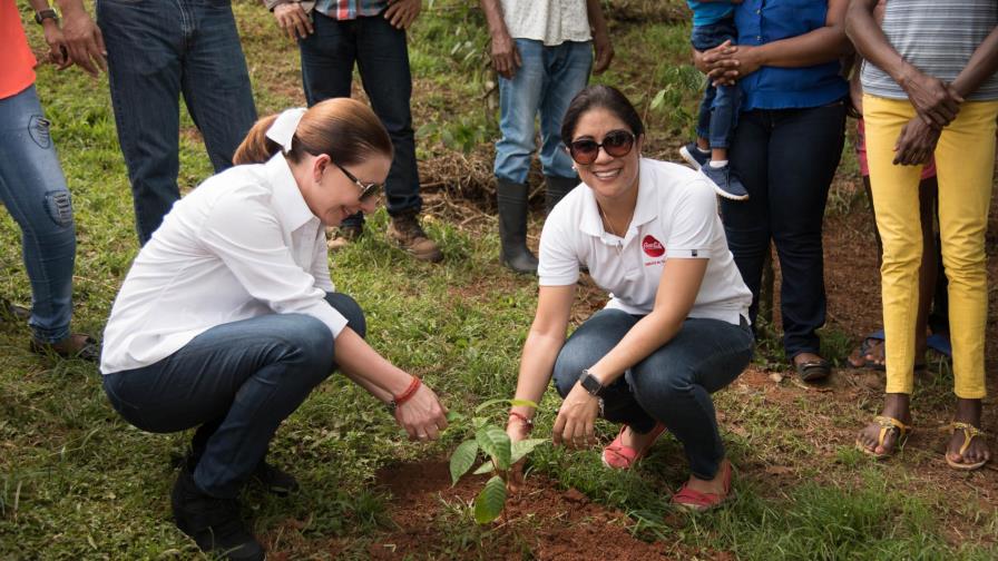 Estufas limpias y árboles para recuperar las microcuenca del río Máyiga, Yamasá