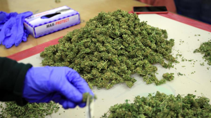 Dudas en Uruguay tras inicio de venta de marihuana en farmacias