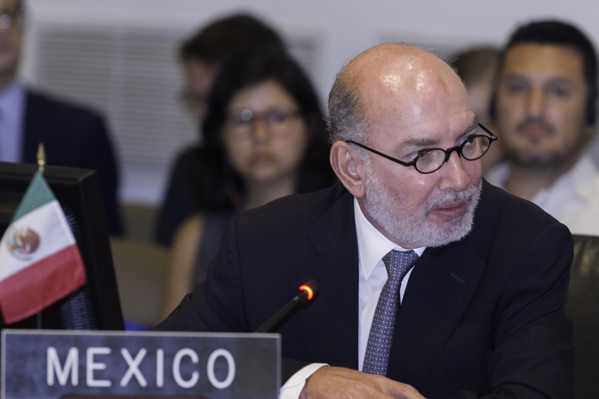 Fotografía cedida en donde aparece el representante permanente de México ante la Organización de los Estados Americanos (OEA), Luis Alfonso de Alba Góngora, hablando durante una sesión regular del Consejo Permanente hoy, miércoles 26 de julio 2017, en la sede del organismo en Washington, DC. 
