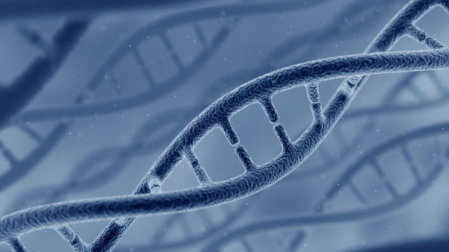 Una “crema” de ADN, una futura alternativa para protegerse del sol