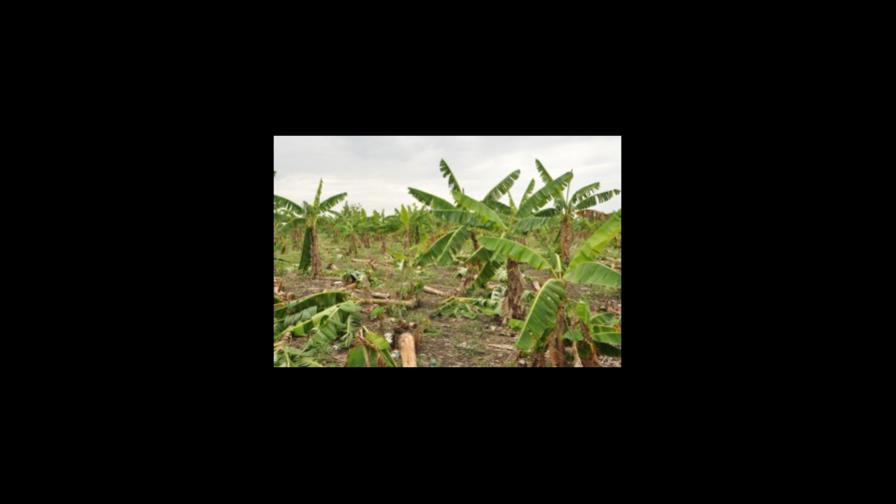 Parceleros de Barahona continúan protestas por pago de deuda