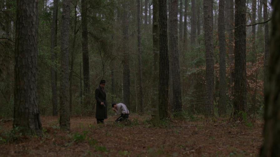 Cineforum para el sétimo arte 