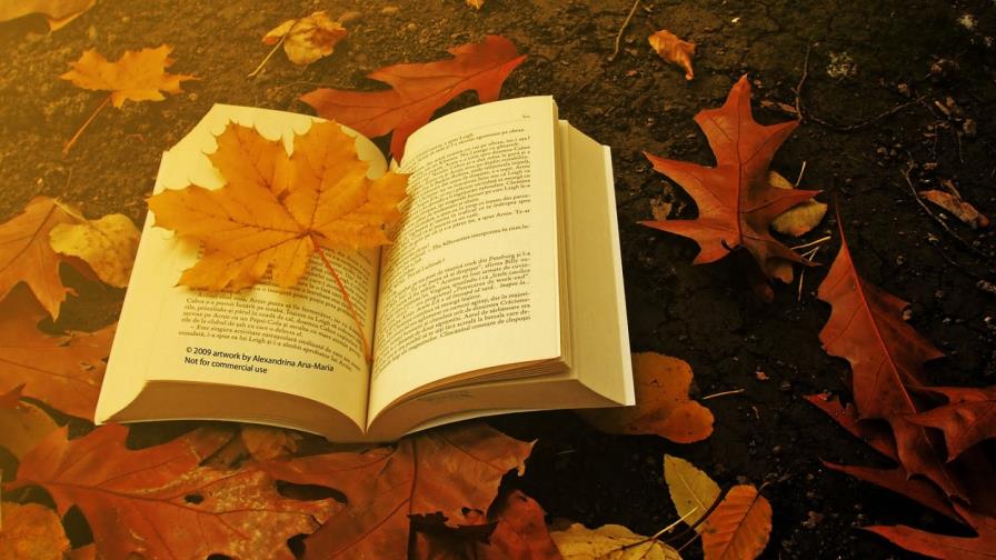 Convocan a la segunda edición de premio de poesía para jóvenes