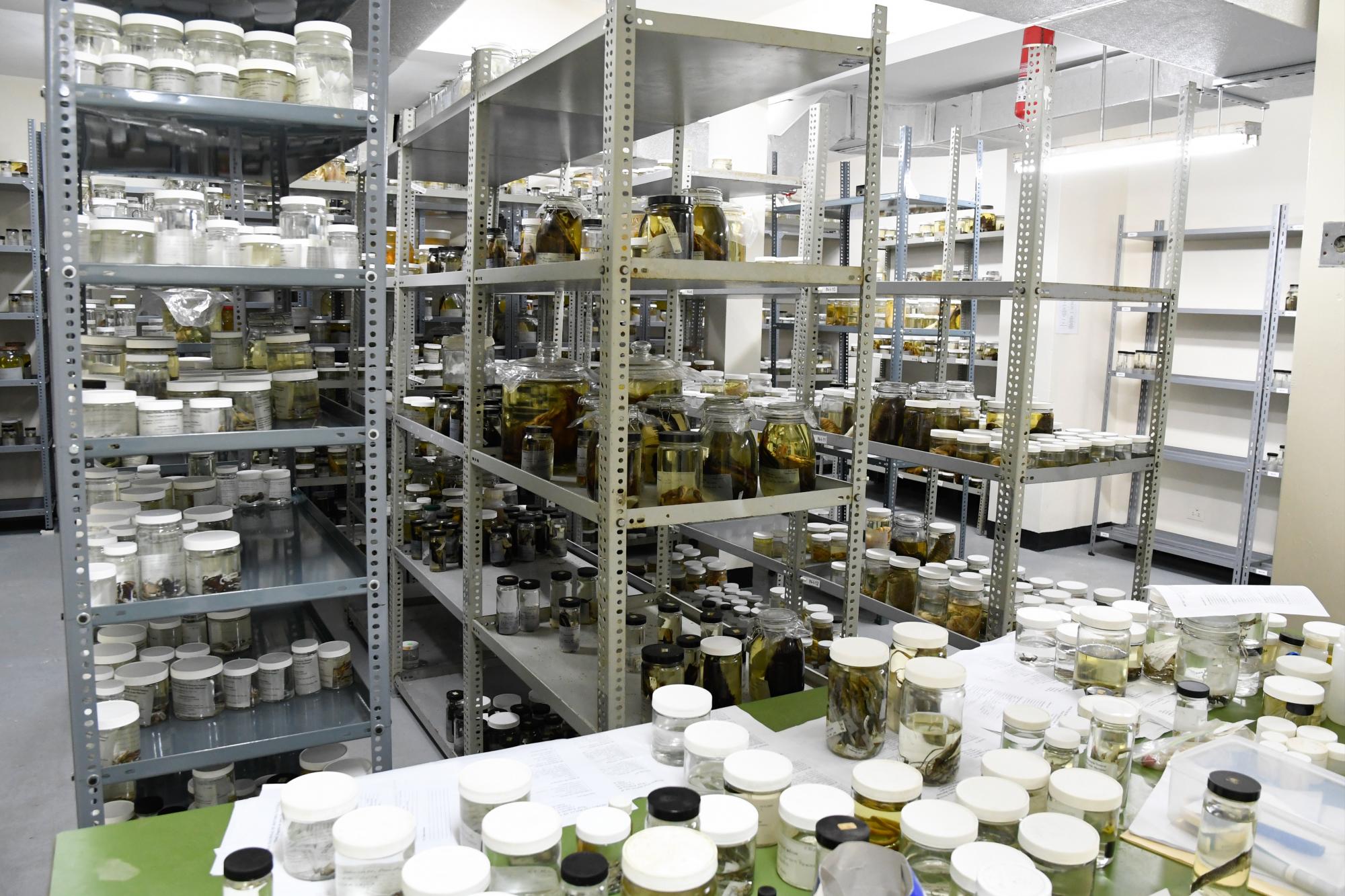 Depósito húmedo donde se conservan especies para investigación.