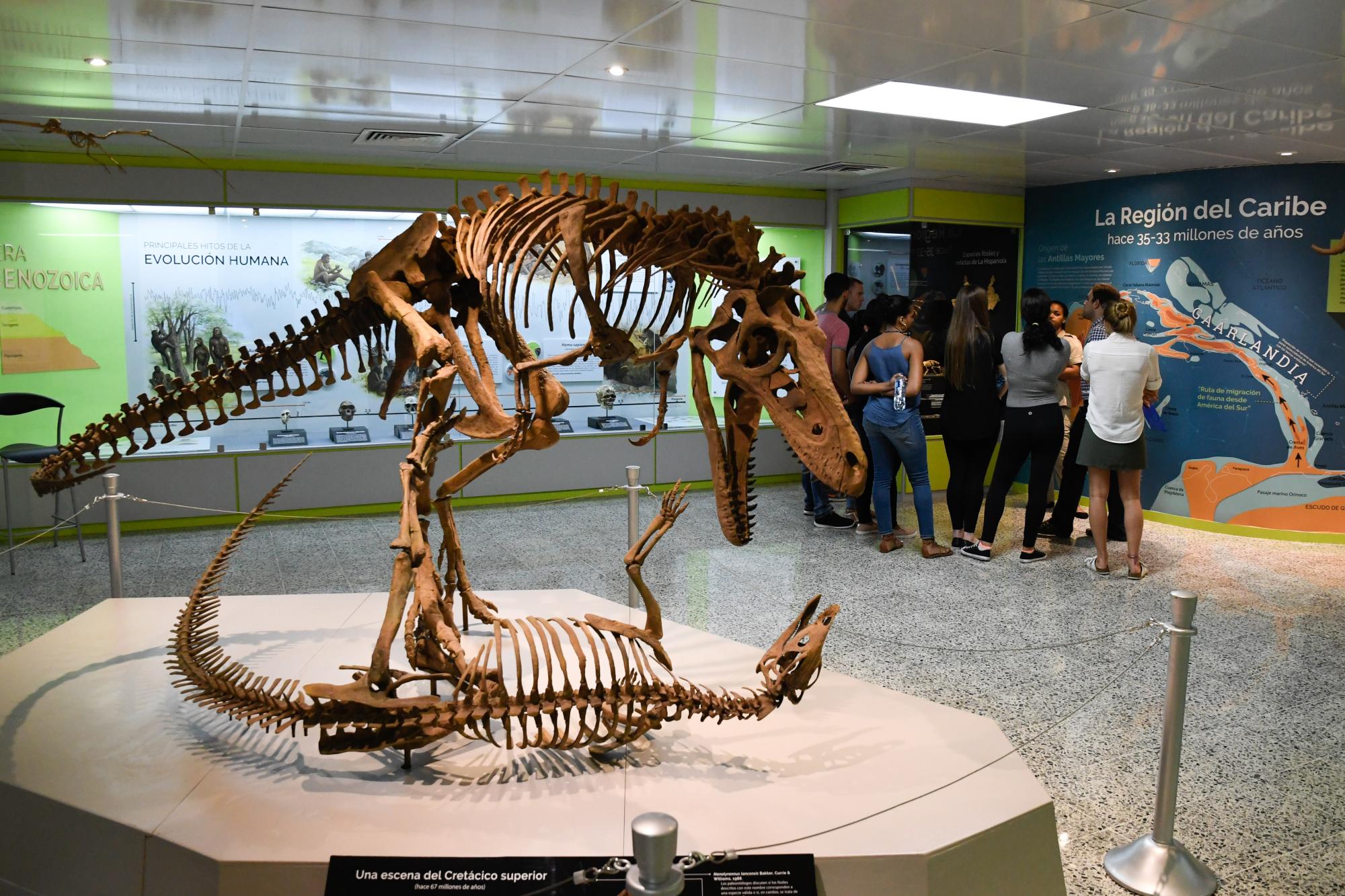 Una réplica del esqueleto de un dinosaurio en la sala Historia de la Vida.