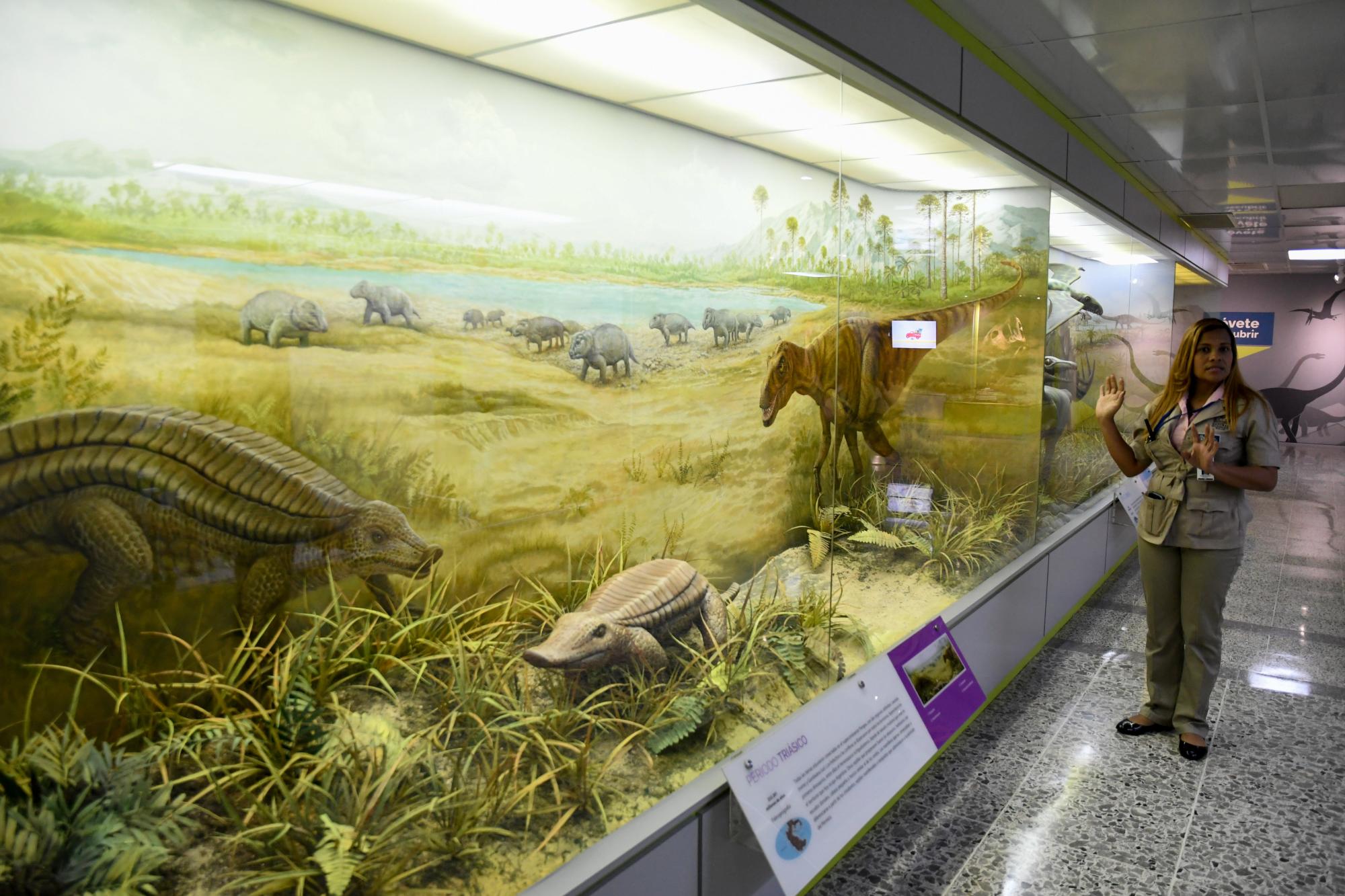 Exhibición de dinosaurios en la nueva sala Historia de la Vida.