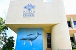 El museo dominicano que exhibe rocas traídas desde la Luna