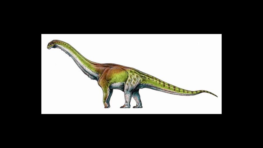 Descubren nuevo dinosaurio tres veces más grande que el Tiranosaurio Rex